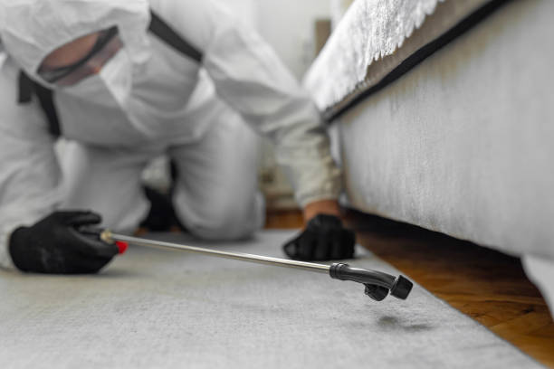 Professional Mosquito Control technician working in Malone, FL