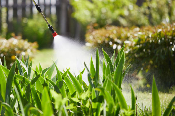 24/7 Emergency Mosquito Control experts in Malone, FL